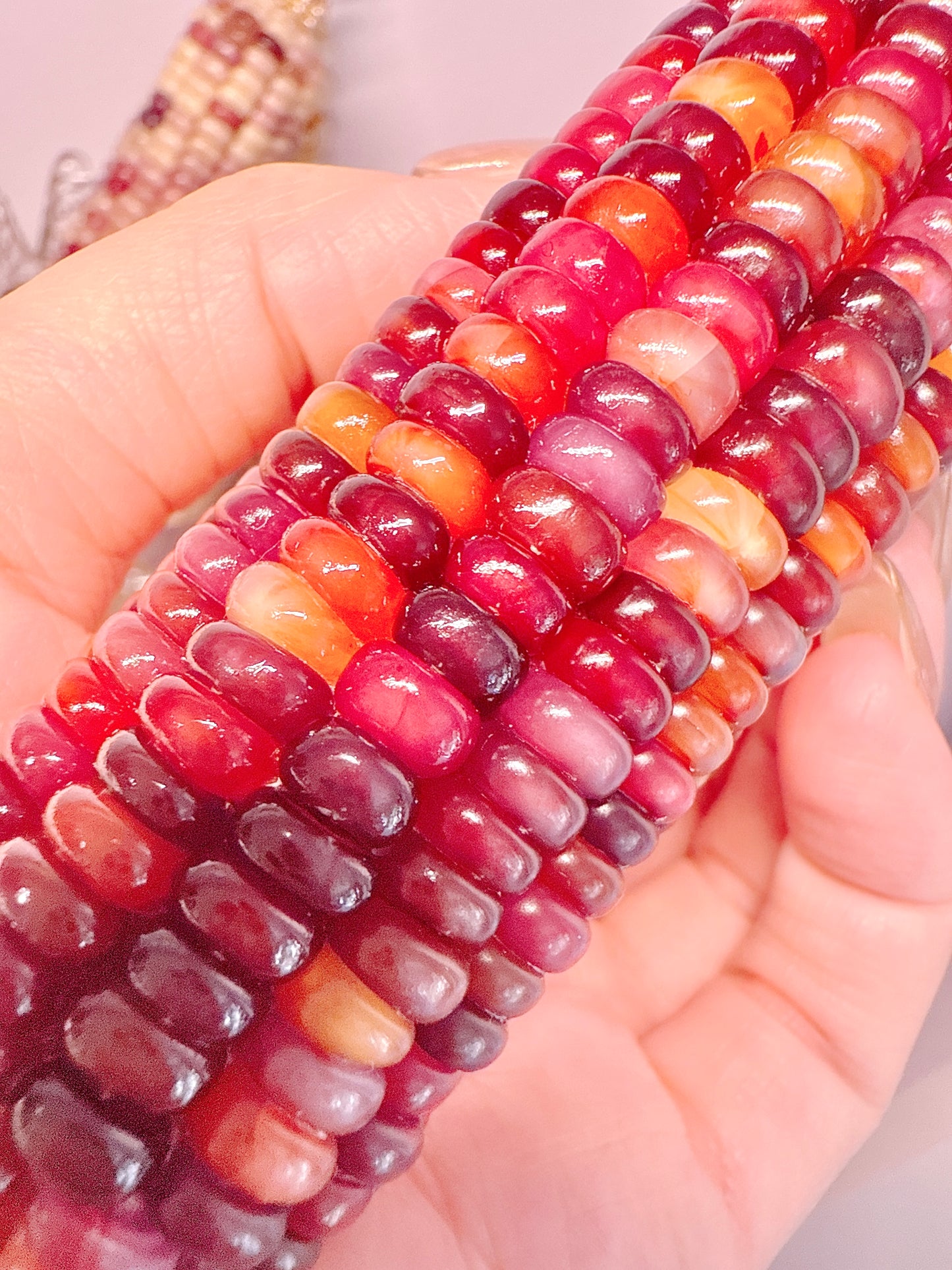 Red Baby Corn